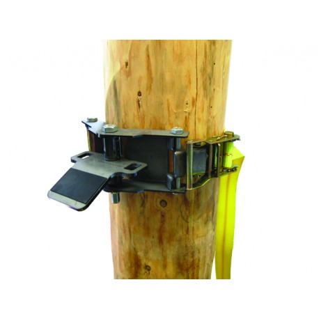 Winch anchor system for trees and poles 50mmx3m