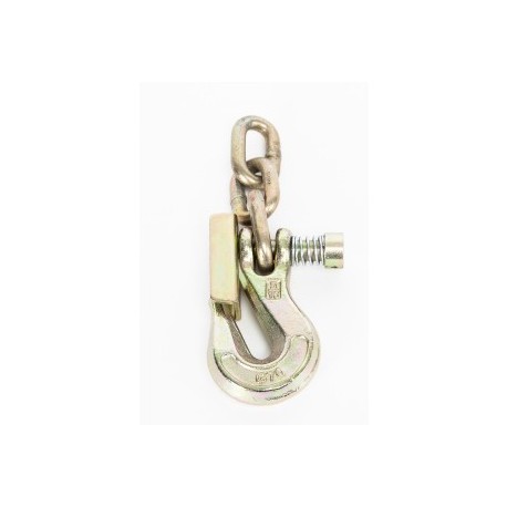 Flat Hook 7 mm (5/16'') withlock and 3 chain links
